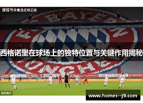 西格诺里在球场上的独特位置与关键作用揭秘