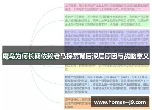 魔鸟为何长期依赖老马探索背后深层原因与战略意义 魔鸟为何长期依赖老马探索背后深层原因与战略意义